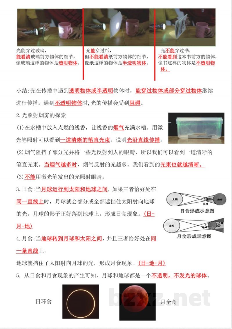 五年级上册科学知识总结（背诵版）