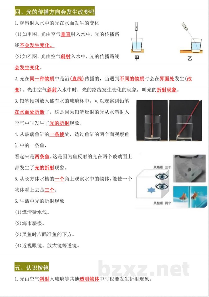 五年级上册科学知识总结（背诵版）
