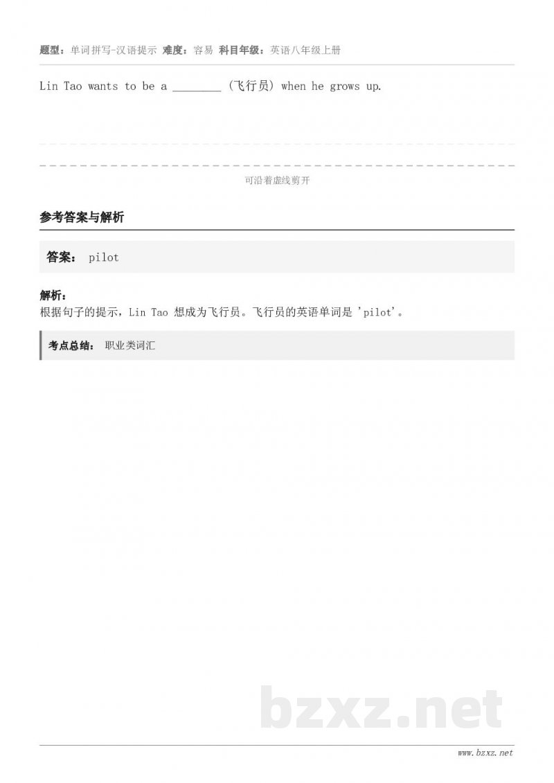 Lin Tao wants to be a ________ (飞行员) when he grows up.