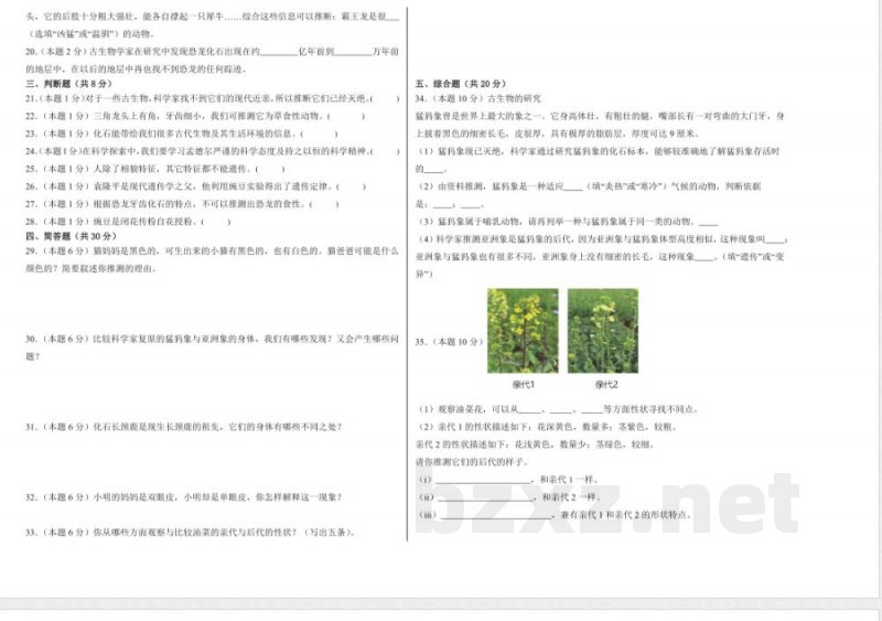 第二单元后代与亲代(单元测试)科学人教鄂教版五年级上册 A3版 第二单元后代与亲代(单元测试)科学人教鄂教版五年级上册 A3版