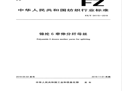 FZ/T 54115-2019锦纶6牵伸分纤母丝 