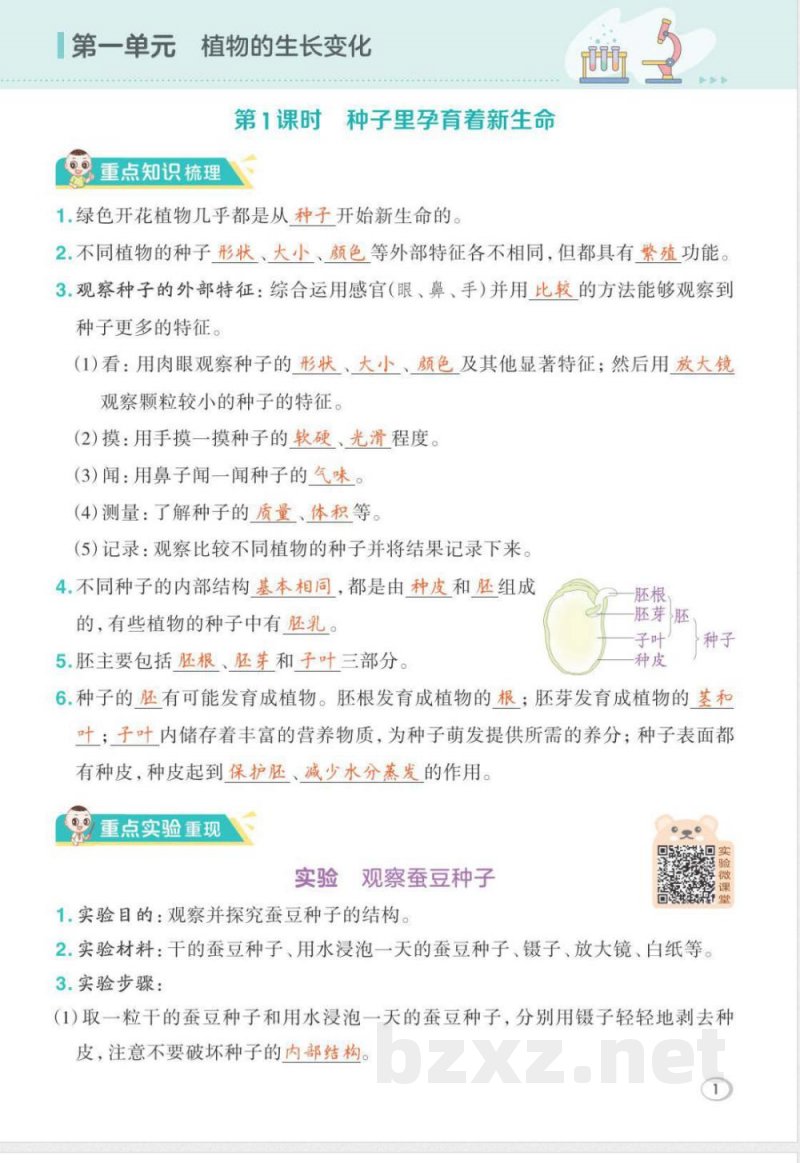 2026年教科版四年级下册科学期末复习课堂重点笔记
