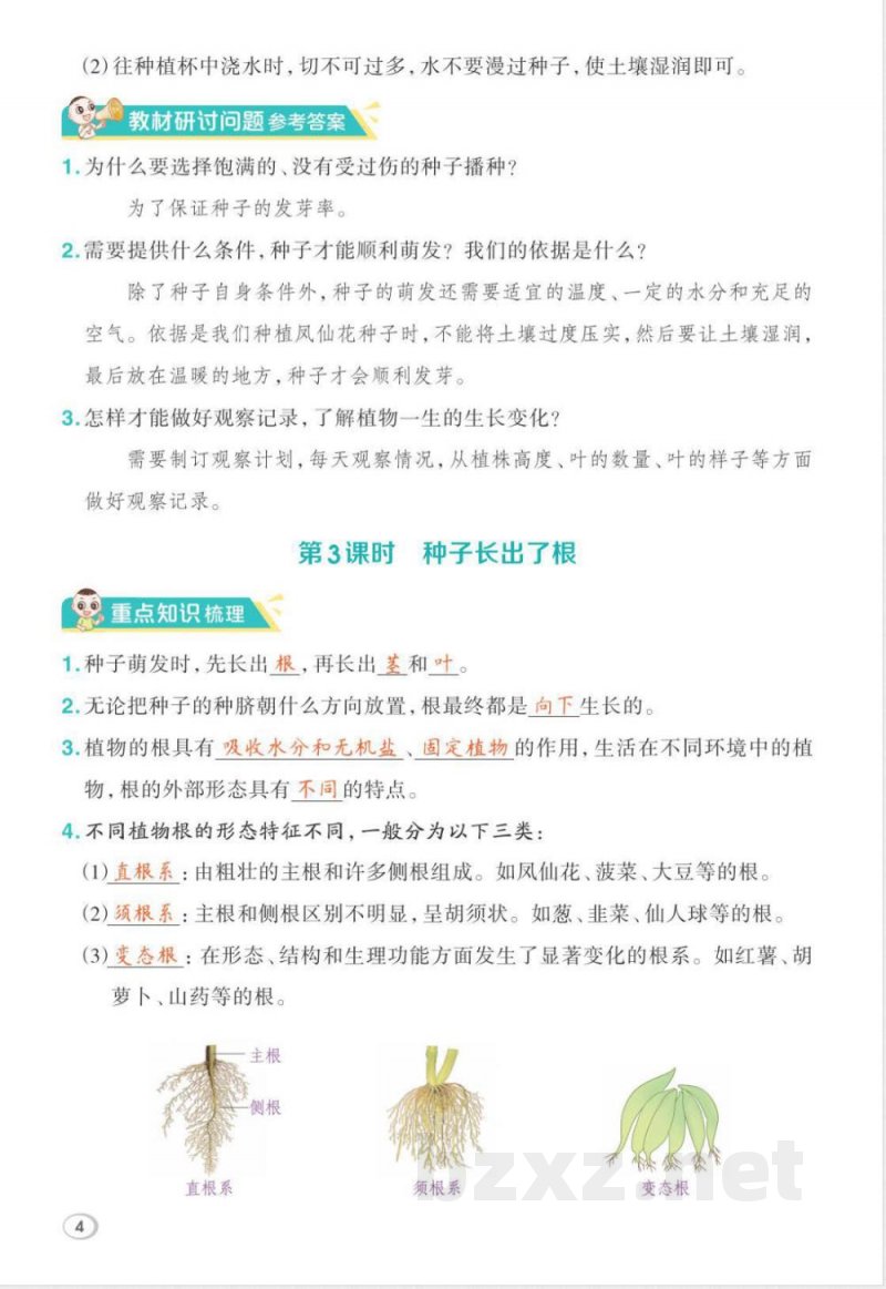 2026年教科版四年级下册科学期末复习课堂重点笔记