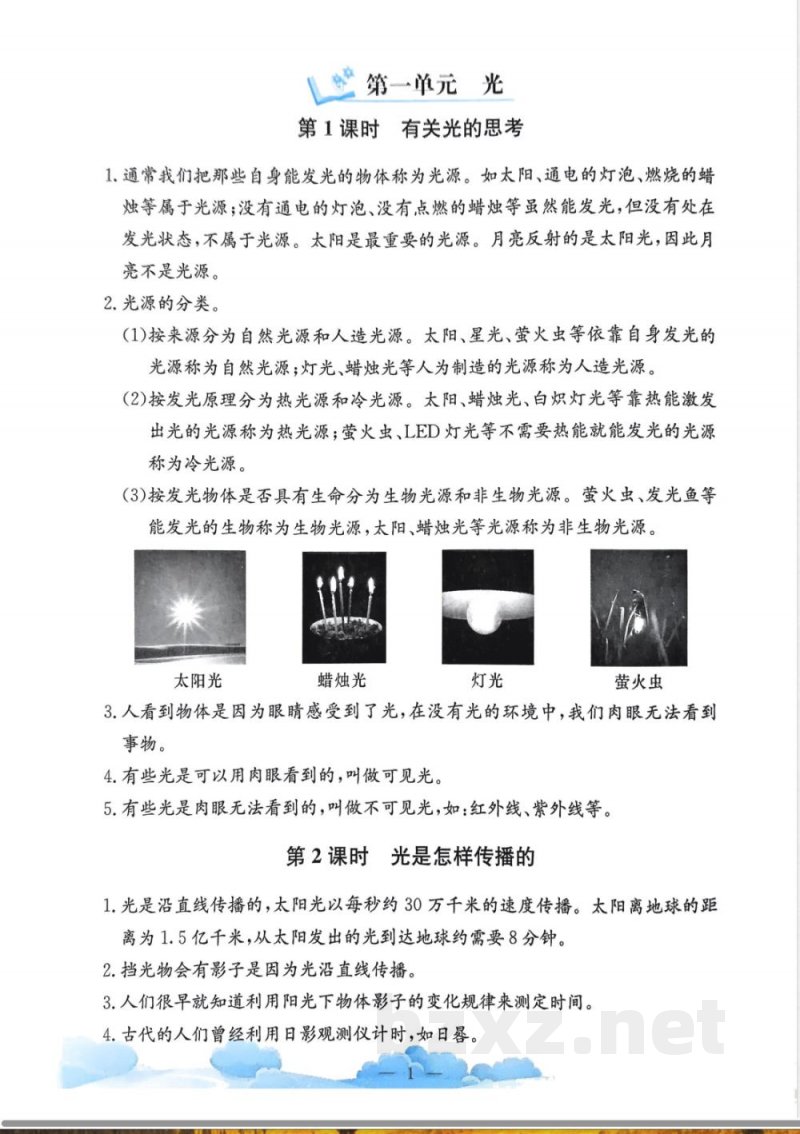教科版25秋小学科学五年级上册单元知识整理 教科版25秋小学科学五年级上册单元知识整理