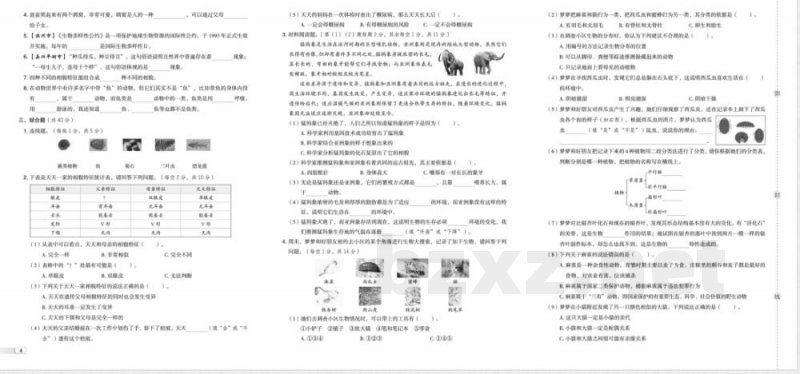 2026年教科版六年级下册科学单元同步测试试卷 2026年教科版六年级下册科学单元同步测试试卷