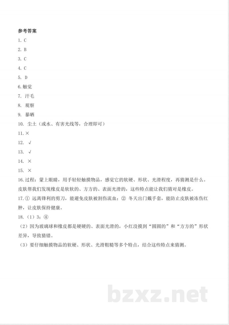 2.6《摸一摸》（分层作业） 2025青岛版科学一年级上册