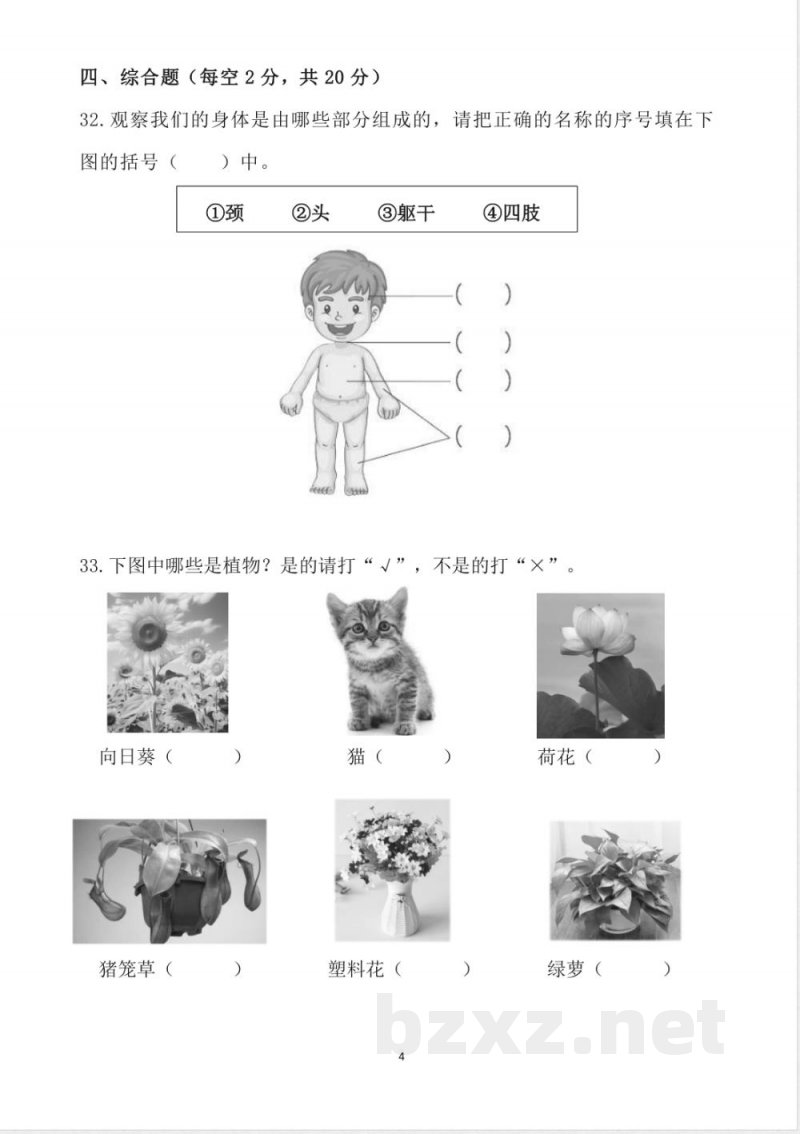 （2025秋）新教科版科学一年级上册期末试卷
