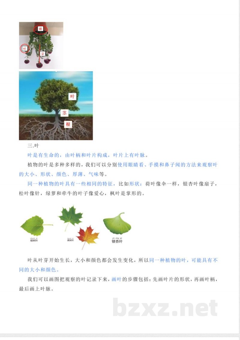 一年科学级上册知识点梳理汇总 一年科学级上册知识点梳理汇总