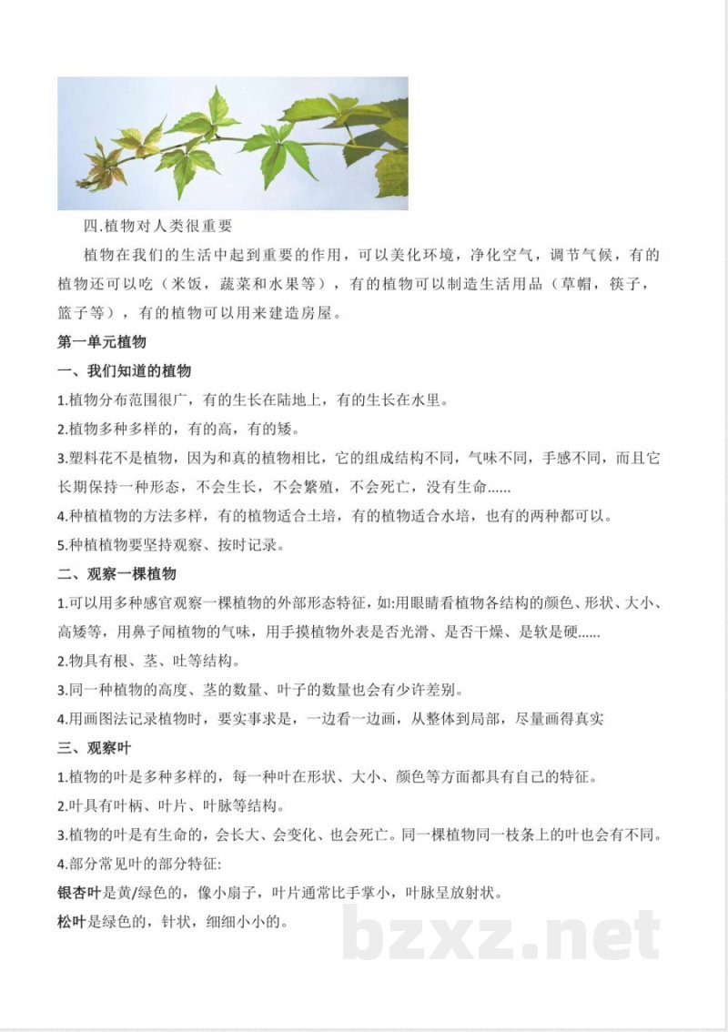 一年科学级上册知识点梳理汇总 一年科学级上册知识点梳理汇总