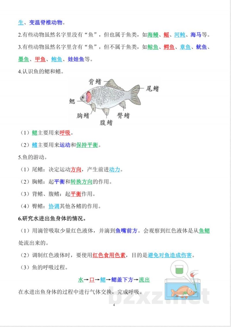 2025年新苏教版四年级上册科学全册精编知识点（背诵用）