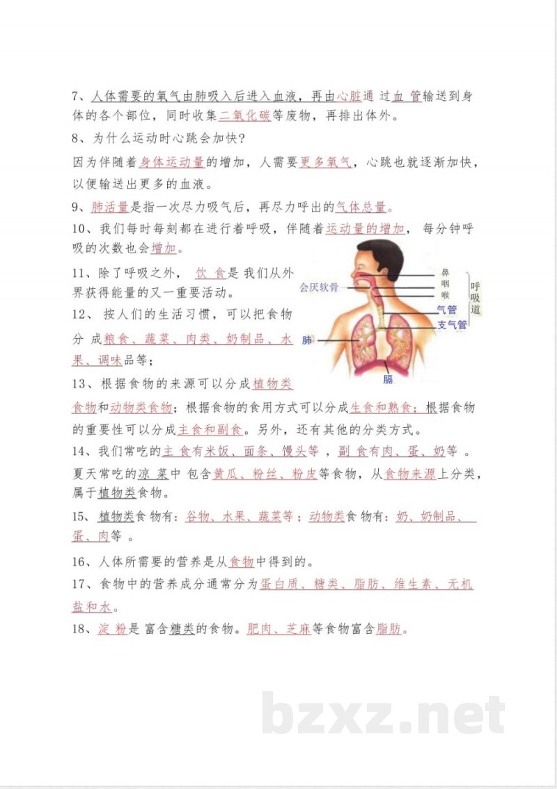 四年级上册科学知识点梳理汇总 四年级上册科学知识点梳理汇总