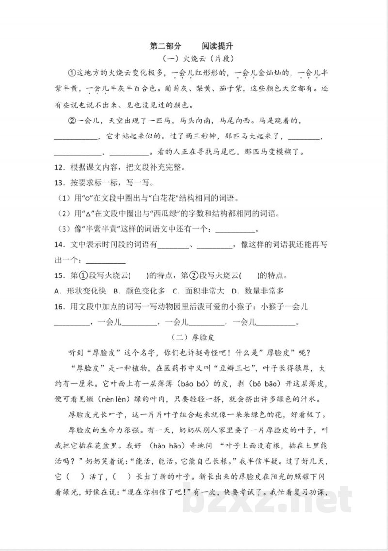 统编版2023年三年级语文下册期末综合复习题
