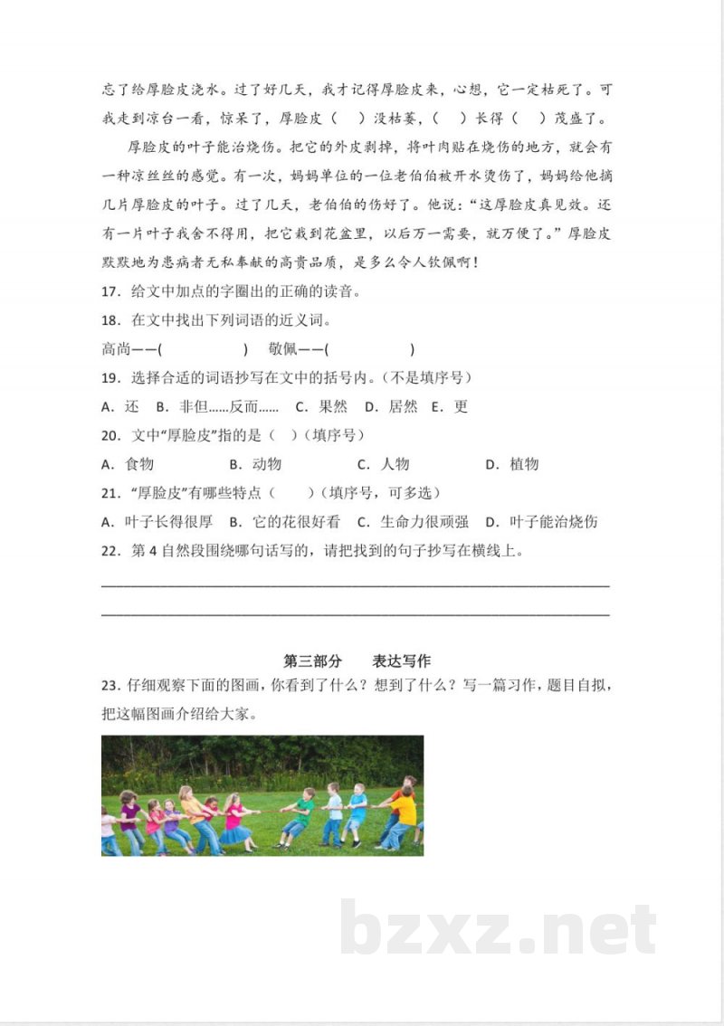统编版2023年三年级语文下册期末综合复习题