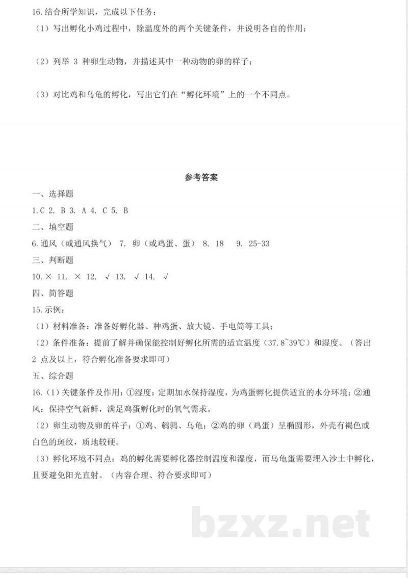3.1 孵化小鸡(分层作业)科学大象版三年级上册2025 3.1 孵化小鸡(分层作业)科学大象版三年级上册2025