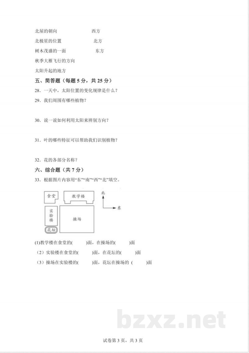 2024-2025学年人教鄂教版一年级科学下册期中素养测评(含答案解析) 2024-2025学年人教鄂教版一年级科学下册期中素养测评(含答案解析)