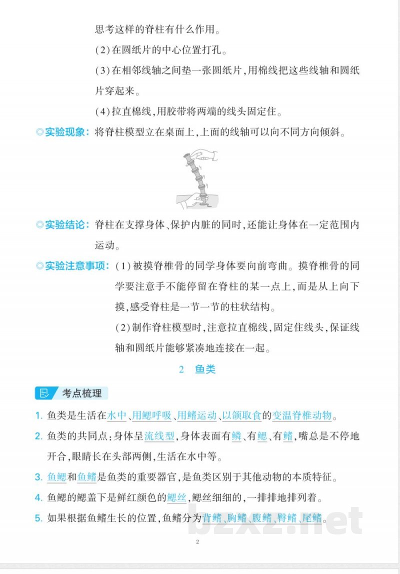 新改版苏教版四年级上册科学全册知识点 实验总结