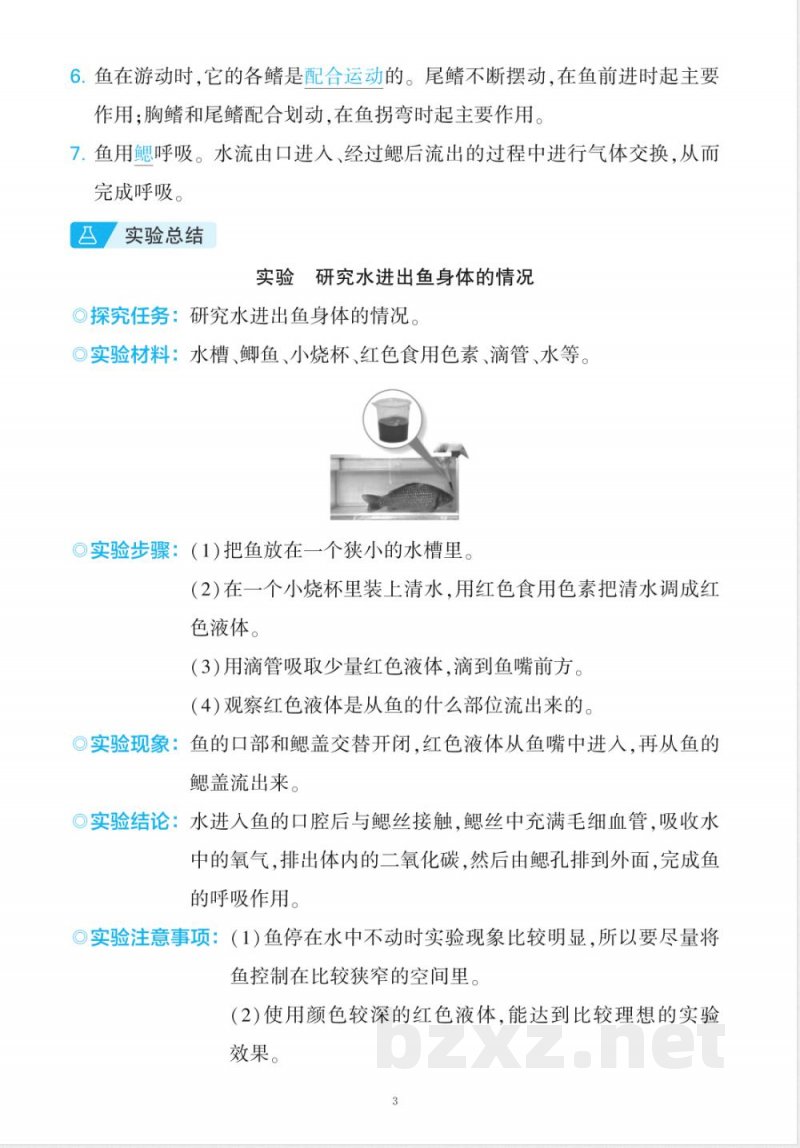 新改版苏教版四年级上册科学全册知识点 实验总结