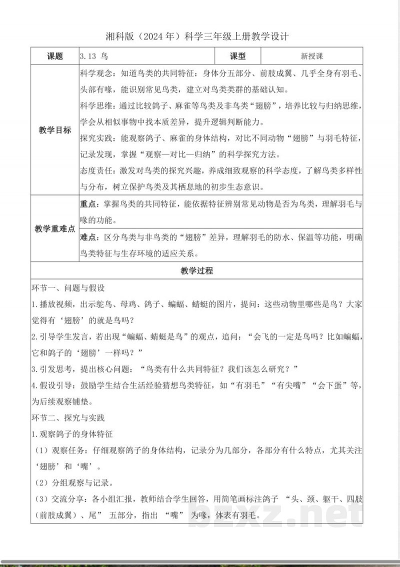 3.13 鸟(教学设计)科学湘科版三年级上册2025 3.13 鸟(教学设计)科学湘科版三年级上册2025