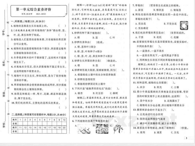 粤教版（26年）三年级科学上册第一单元综合素养评价试题（含答案）