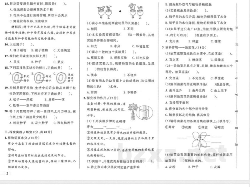 粤教版（26年）三年级科学上册第一单元综合素养评价试题（含答案）