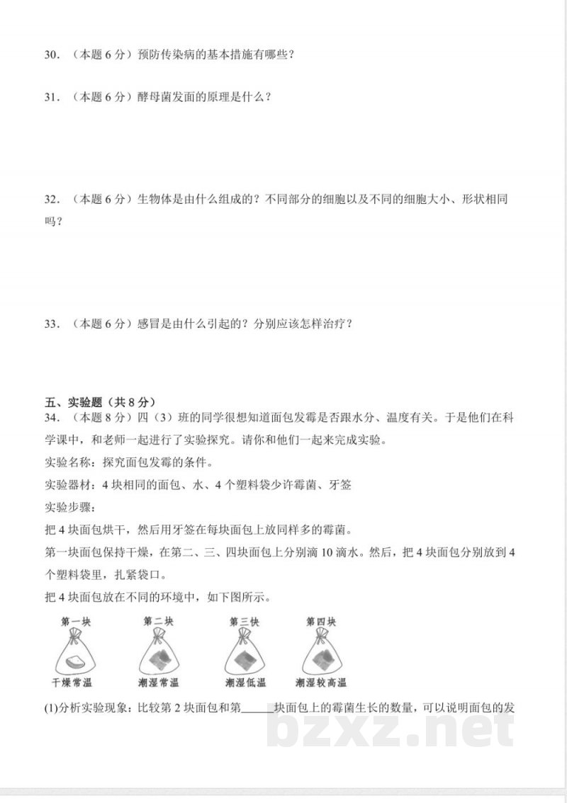 大象版科学六年级上册全册单元测试含答案A4版 大象版科学六年级上册全册单元测试含答案A4版