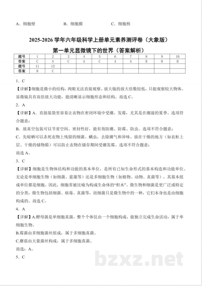 大象版科学六年级上册全册单元测试含答案A4版 大象版科学六年级上册全册单元测试含答案A4版