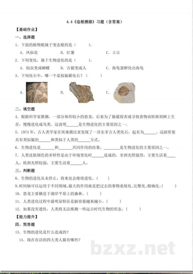 4.4 追根溯源(分层作业)科学大象版六年级上册 4.4 追根溯源(分层作业)科学大象版六年级上册