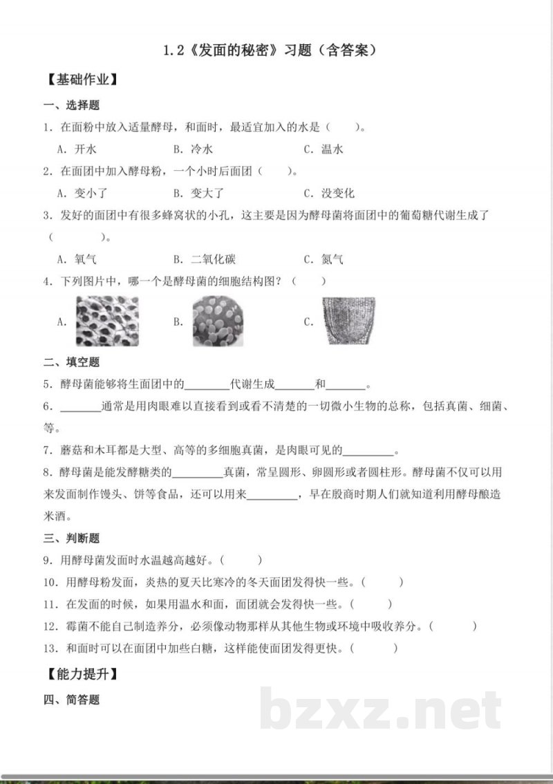 1.2 发面的秘密(分层作业)科学大象版六年级上册 1.2 发面的秘密(分层作业)科学大象版六年级上册