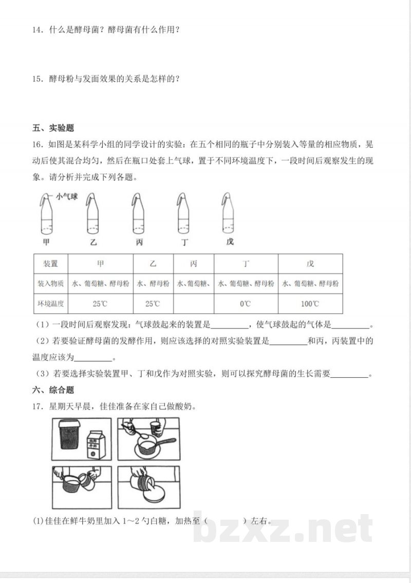 1.2 发面的秘密(分层作业)科学大象版六年级上册 1.2 发面的秘密(分层作业)科学大象版六年级上册