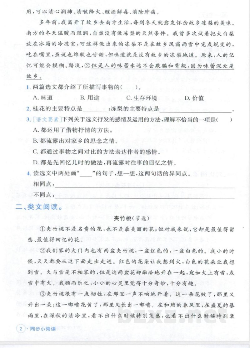 五年级上册语文《同步阅读练习》（含答案）