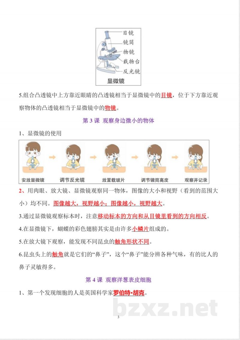 小升初六年级科学知识点精心梳理（上册）