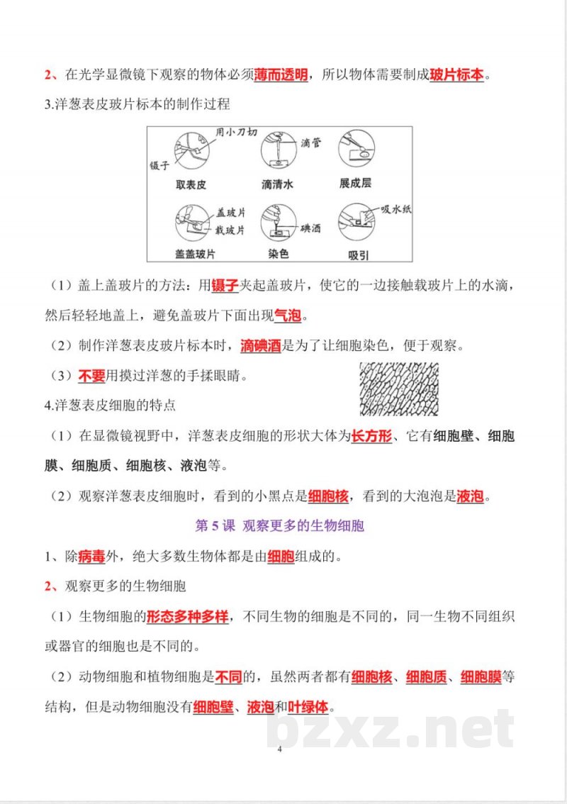 小升初六年级科学知识点精心梳理（上册）