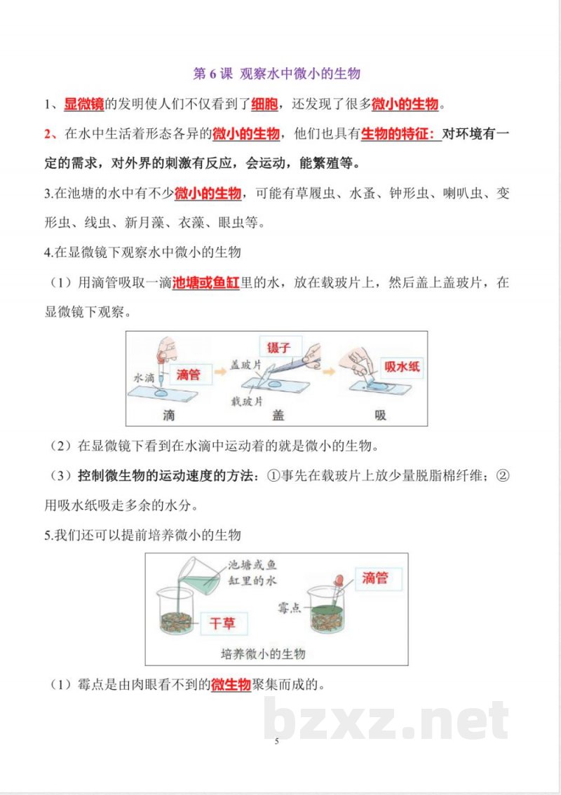 小升初六年级科学知识点精心梳理（上册）