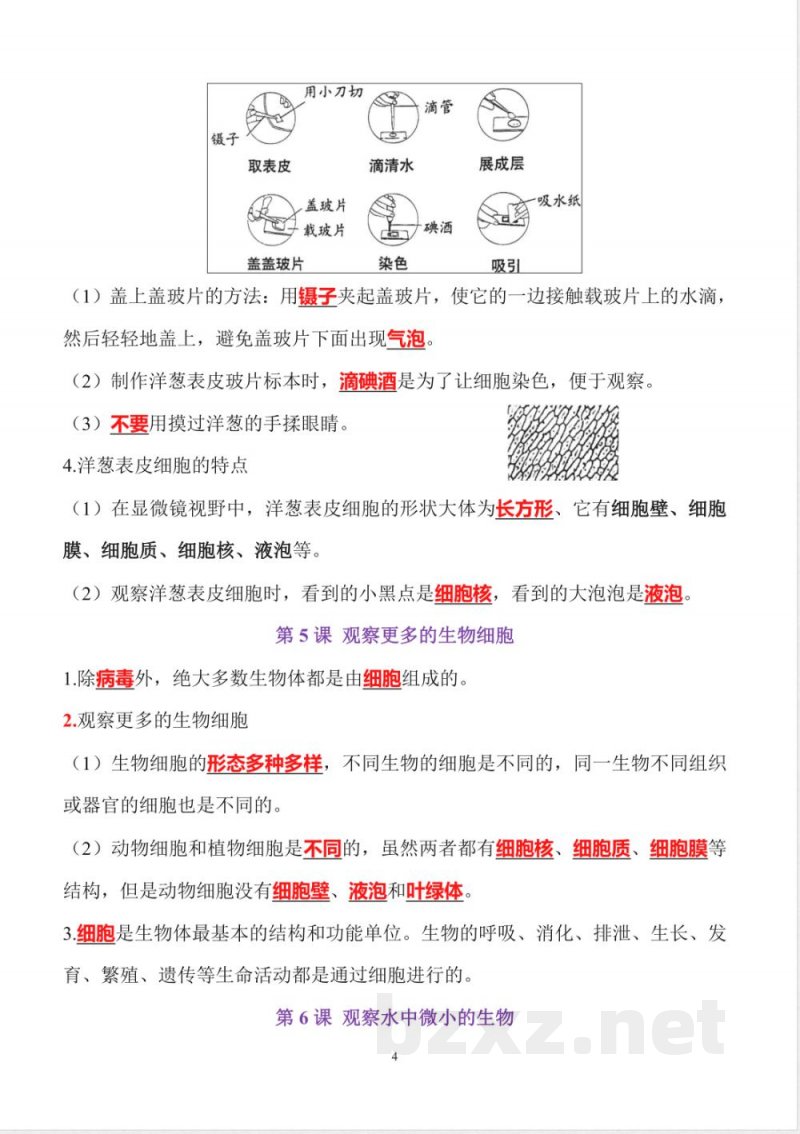六年级上册科学全册知识点精心梳理【详细完整】 六年级上册科学全册知识点精心梳理【详细完整】