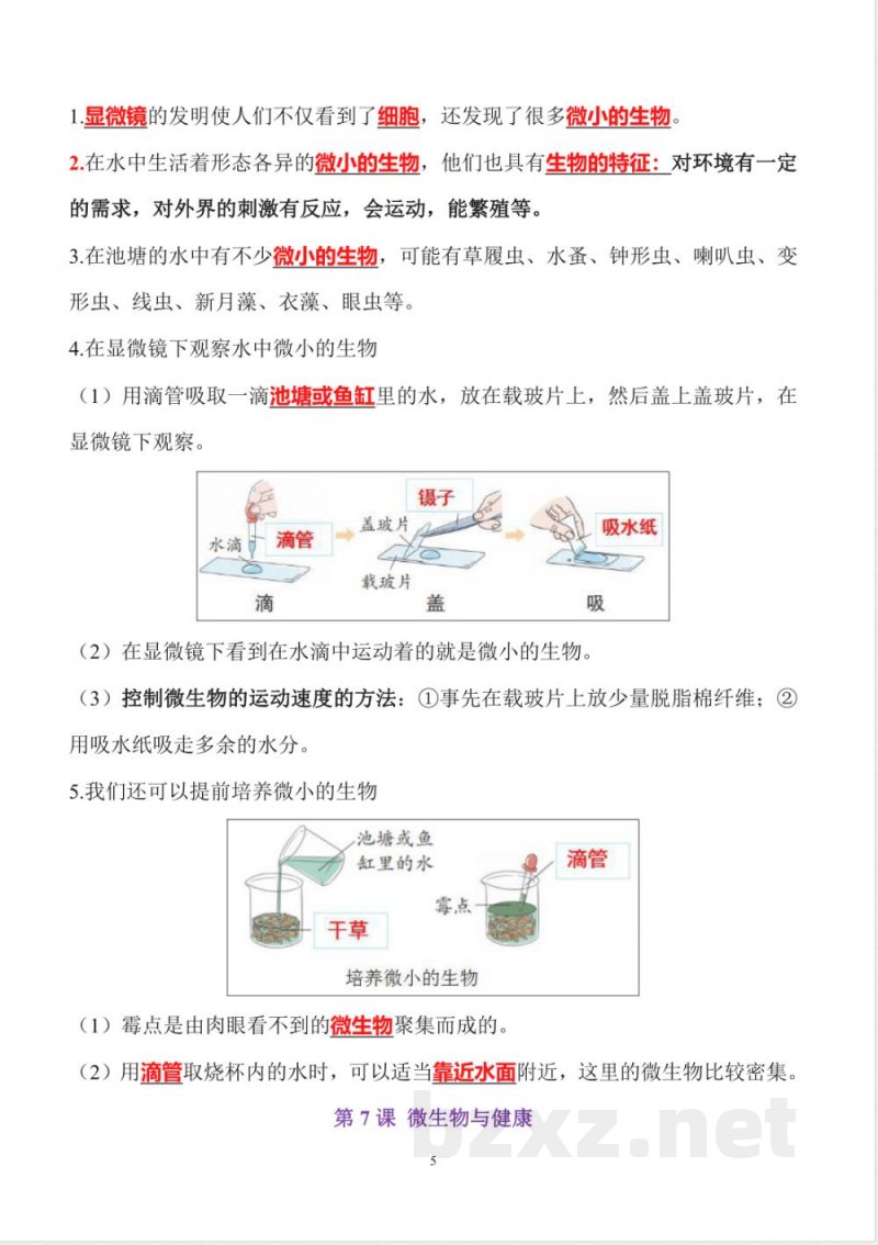 六年级上册科学全册知识点精心梳理【详细完整】 六年级上册科学全册知识点精心梳理【详细完整】