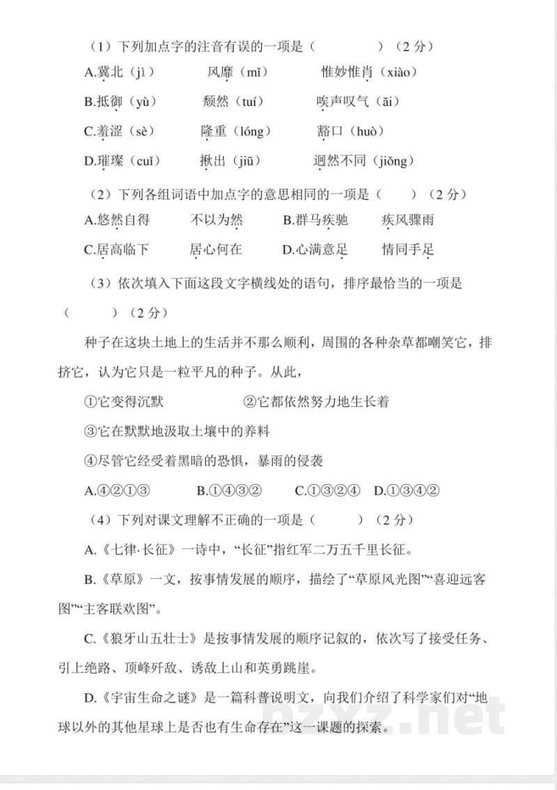 25秋统编版语文六年级上册期中试卷（二）