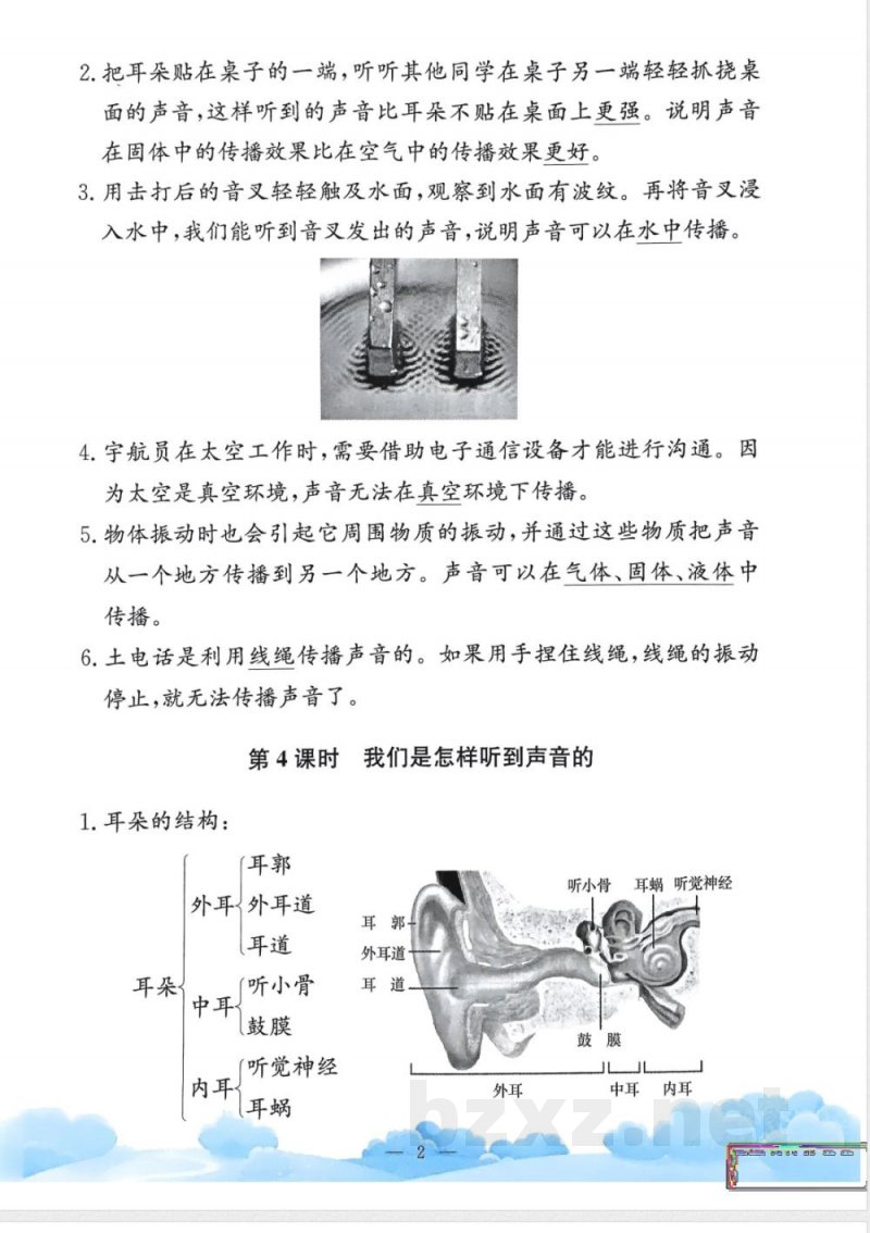 教科版25秋小学科学四年级上册单元知识整理