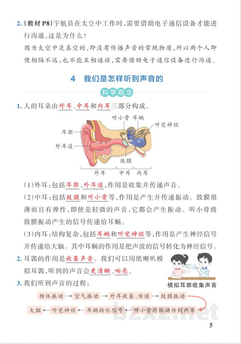 教科版（25秋）小学科学四年级上册期中必背知识点全册