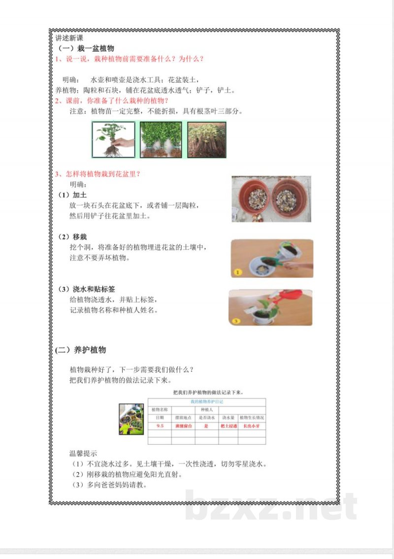 1.1《养植物》教学设计 2025人教鄂教版科学二年级上册