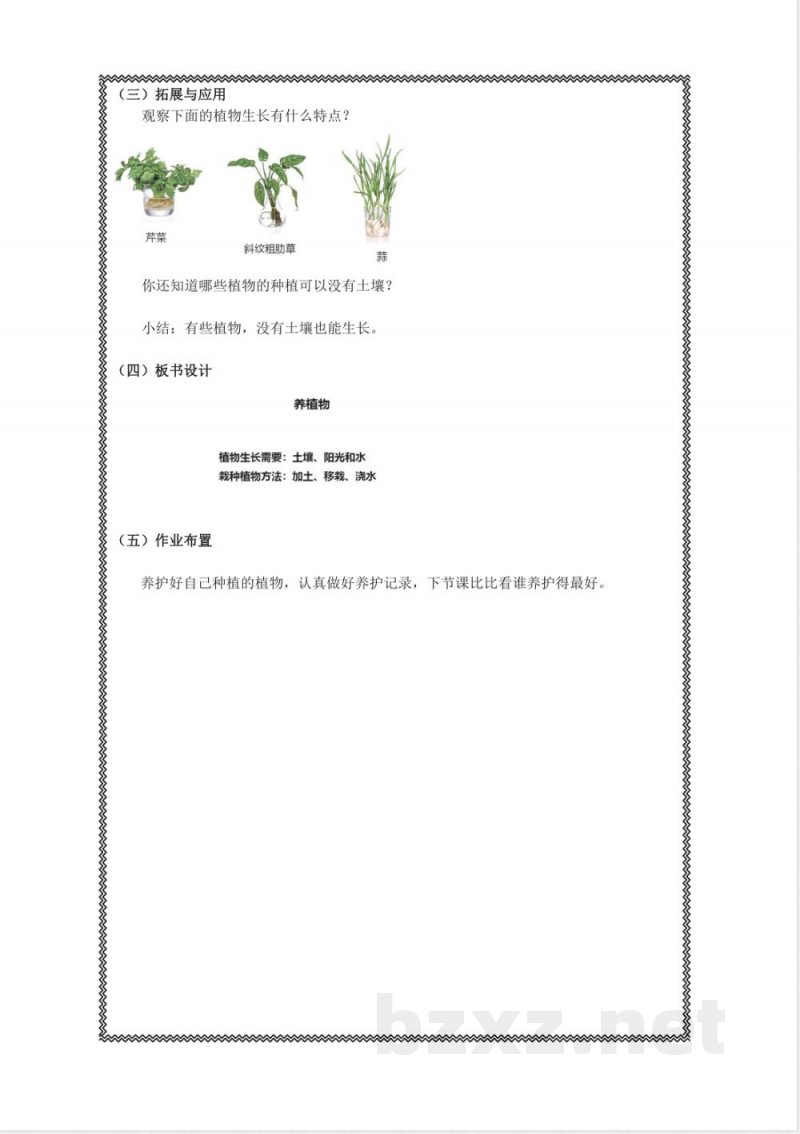 1.1《养植物》教学设计 2025人教鄂教版科学二年级上册