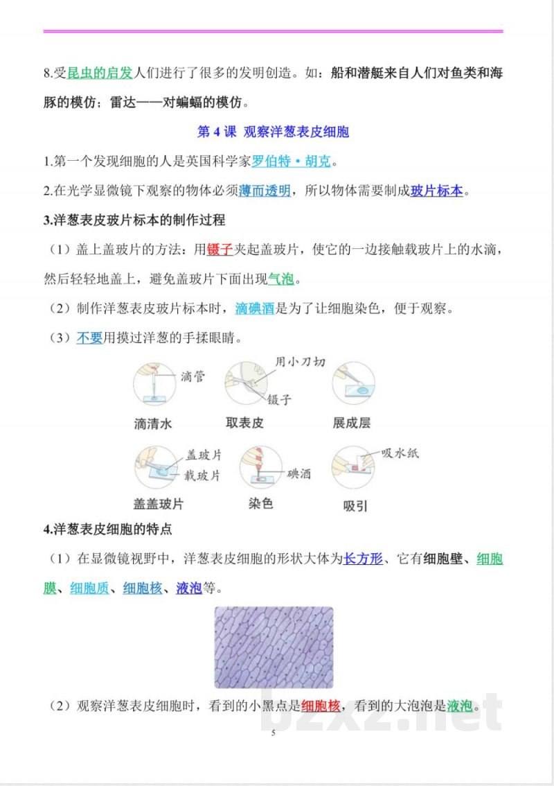 新改版教科版科学六年级上册全册精编知识点（精编版）