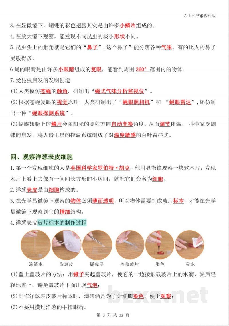 2025-2026学年教科版六年级科学上册期末复习知识点考点资料 2025-2026学年教科版六年级科学上册期末复习知识点考点资料