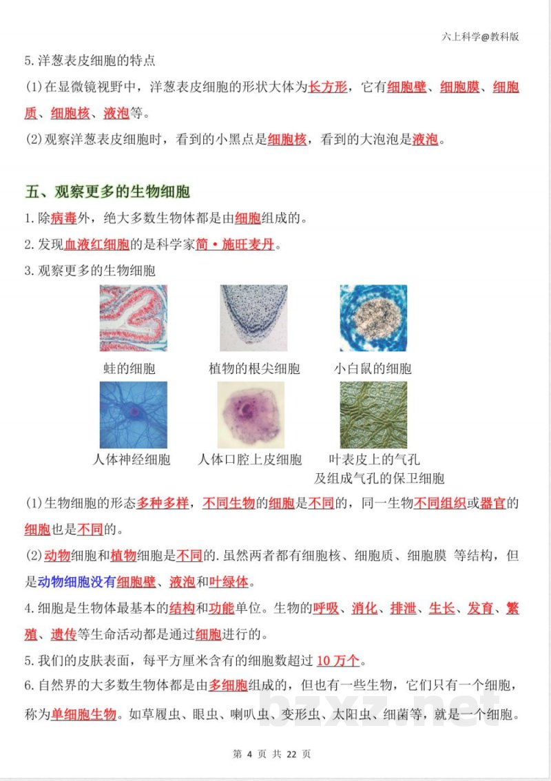 2025-2026学年教科版六年级科学上册期末复习知识点考点资料 2025-2026学年教科版六年级科学上册期末复习知识点考点资料