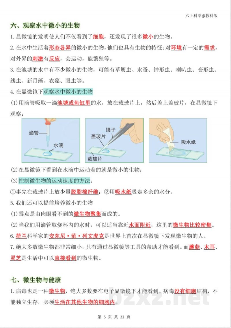 2025-2026学年教科版六年级科学上册期末复习知识点考点资料 2025-2026学年教科版六年级科学上册期末复习知识点考点资料