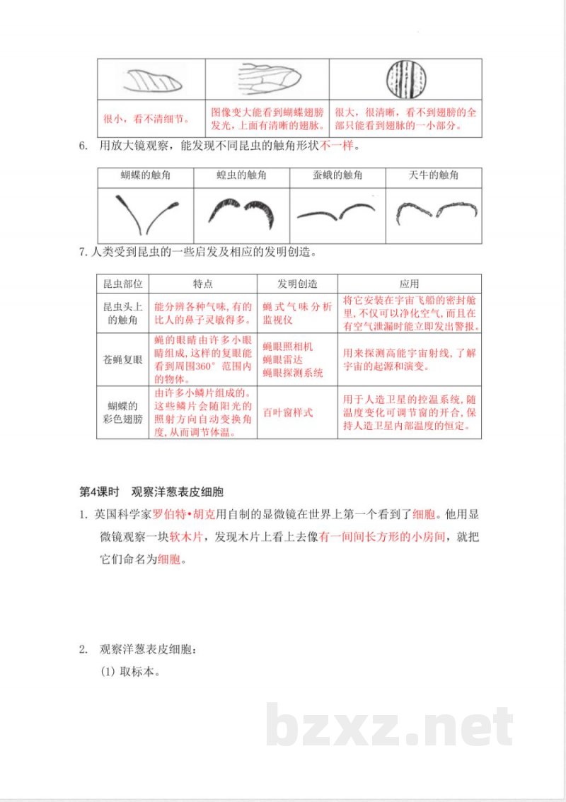教科版(26年)小学六年级上册科学知识总结(背诵版) 教科版(26年)小学六年级上册科学知识总结(背诵版)