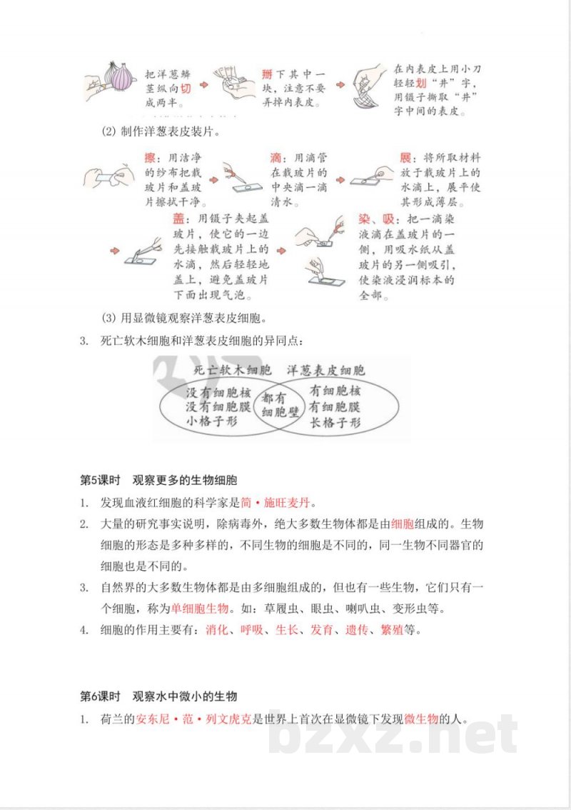 教科版(26年)小学六年级上册科学知识总结(背诵版) 教科版(26年)小学六年级上册科学知识总结(背诵版)