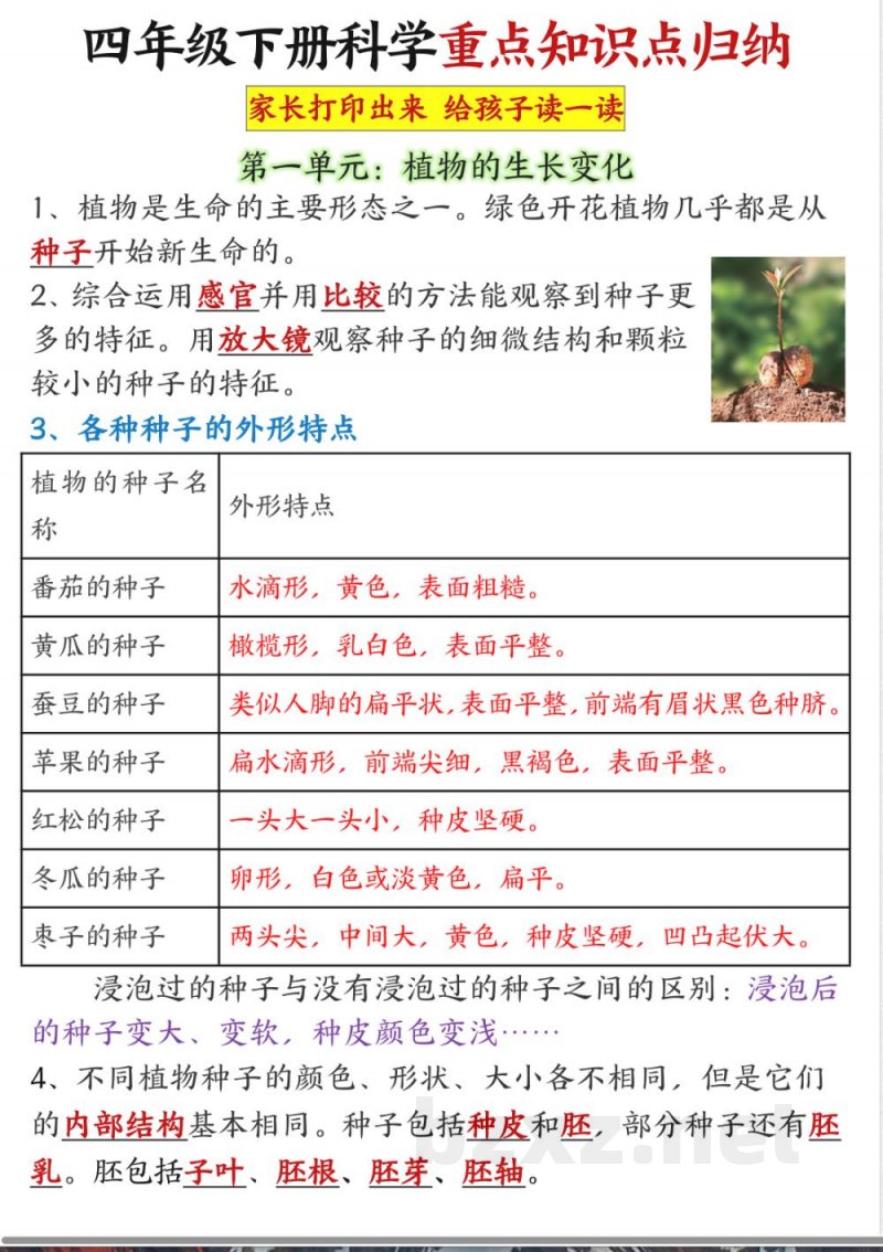 四年级下科学 全册重点知识点汇总（教科版）