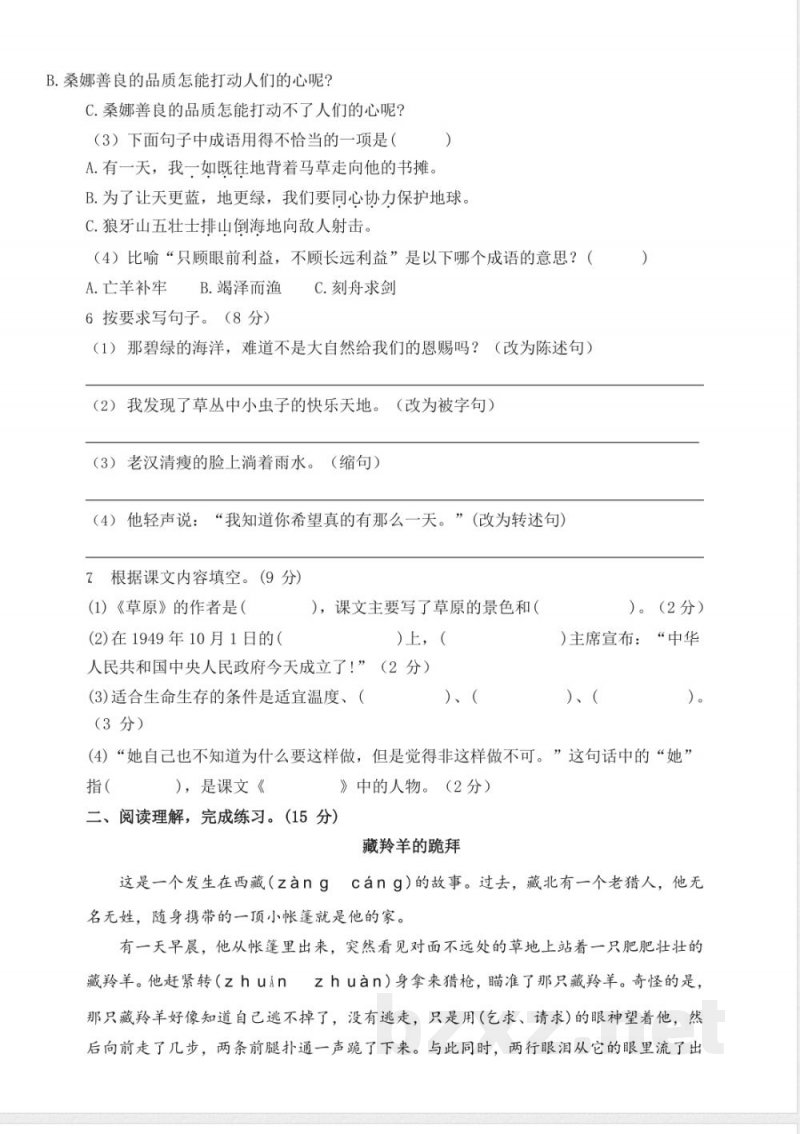 部编版语文六年级上册期中试卷—4