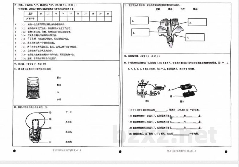 2025年春期四年级下册科学期末统考试卷(教科版)