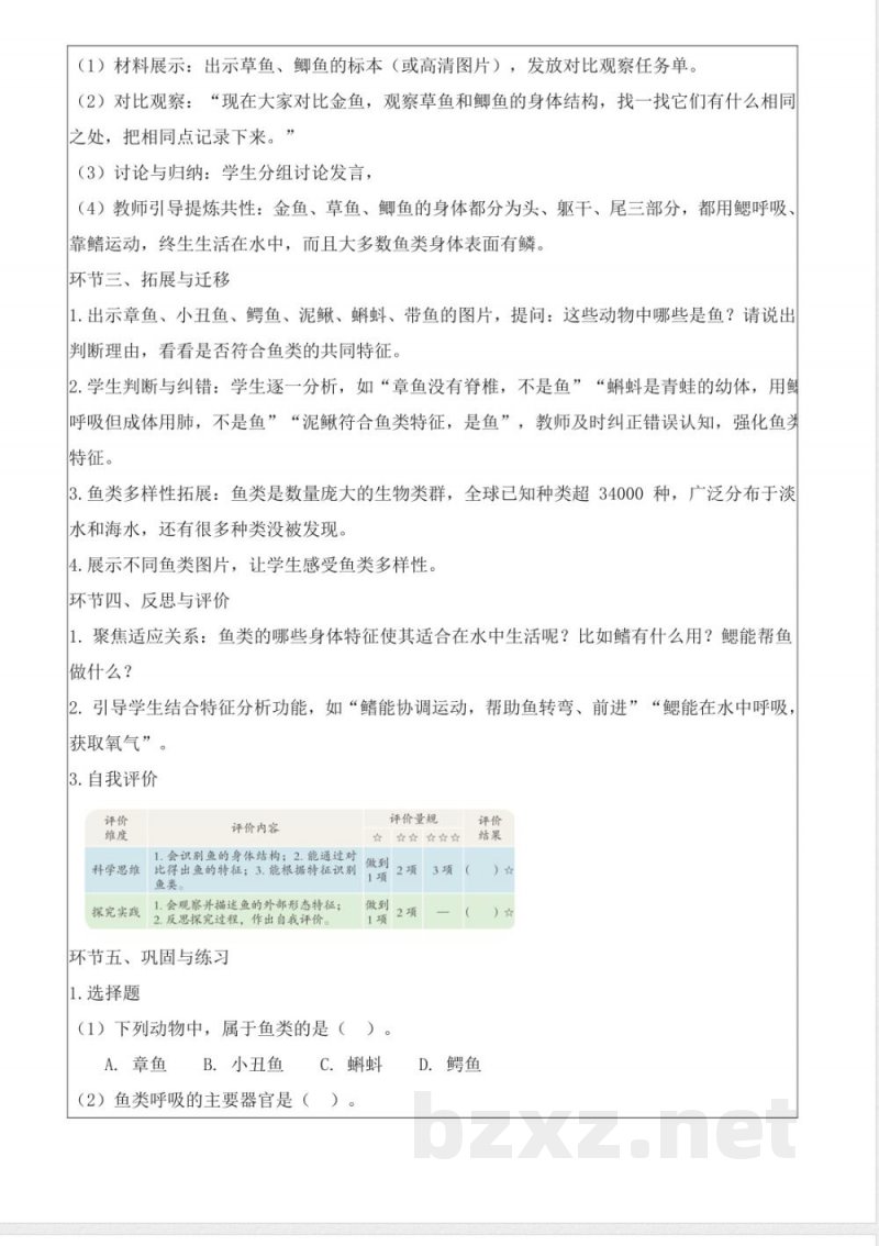 3.12 鱼(教学设计)科学湘科版三年级上册2025 3.12 鱼(教学设计)科学湘科版三年级上册2025